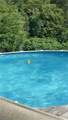 1038 Blackburn Hollow Road - Photo 12
