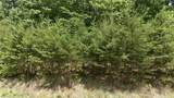 7510 Bentridge Forest Drive - Photo 17
