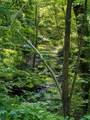 TBD Flint Hill Lane - Photo 2