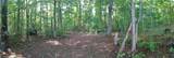 1090 Chestnut Grove Road - Photo 34