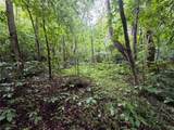7767 Pearman Quarry Road - Photo 10