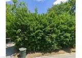2013 Cedar Fork Drive - Photo 4