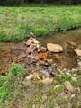 3205 Sheets Gap Road - Photo 1