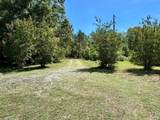 8365 Dirgie Mine Road - Photo 3