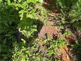 0 Newsome Road - Photo 9