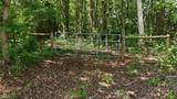 4105 Old Vineyard Road - Photo 22