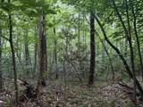 1215 Lucius Beasley Road - Photo 19