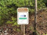 Lots 171 & 172B Blue Rock Road - Photo 30