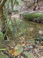 00 Julian Fish Way - Photo 1