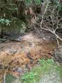 00 Julian Fish Way - Photo 2