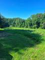 1038 Willard Drive - Photo 5