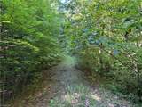 Lot 222 Casey Mountain Road - Photo 4