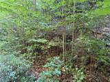 Lot 222 Casey Mountain Road - Photo 5
