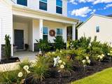 141 Cremello Drive - Photo 6