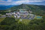 301 Pinnacle Inn Road - Photo 44