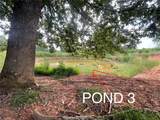 325 Ellas Lane - Photo 7