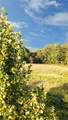 0 Johnson Ridge Road - Photo 10
