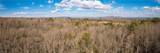 17.96 Acres Aubrey Thomas Lane - Photo 8