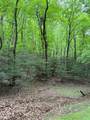 Lot 35 Baldwin Drive - Photo 6