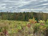 Lot 10 Skeens Mill Road - Photo 12