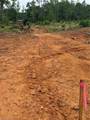 Lot 12 Skeens Mill Road - Photo 7