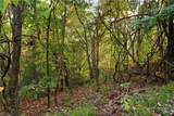 Lot 16 Little Ivy Lane - Photo 1