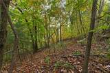 Lot 16 Little Ivy Lane - Photo 3