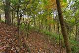 Lot 16 Little Ivy Lane - Photo 5