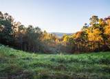 TBD Lot 17 Chestnut Falls Drive - Photo 5