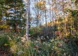 TBD Lot 17 Chestnut Falls Drive - Photo 6