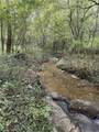 0 Virginia Branch Road - Photo 6