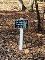 400 Pinnacle Trail - Photo 6