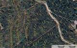 Lot 209 Casey Mountain Road - Photo 10