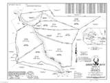 Lot 209 Casey Mountain Road - Photo 12