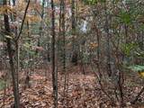 Lot 209 Casey Mountain Road - Photo 3
