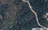 Lot 209 Casey Mountain Road - Photo 9