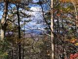 Lot 96 Buck Mountain Road - Photo 2