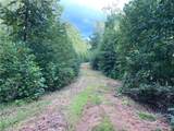TBD Scout Road - Photo 13