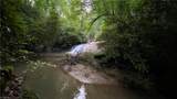TBD Scout Road - Photo 6