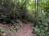 TBD Scout Road - Photo 8