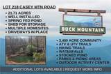 Lot 218 Casey Mountain Road - Photo 1