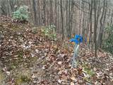 Lot 218 Casey Mountain Road - Photo 11