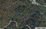 Lot 218 Casey Mountain Road - Photo 17