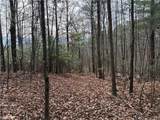 Lot 21 Buck Mountain Road - Photo 10