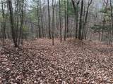 Lot 21 Buck Mountain Road - Photo 11