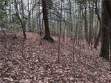 Lot 21 Buck Mountain Road - Photo 12