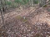 Lot 21 Buck Mountain Road - Photo 13