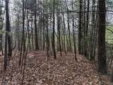 Lot 21 Buck Mountain Road - Photo 15