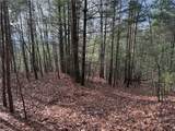 Lot 21 Buck Mountain Road - Photo 16
