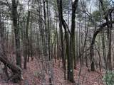 Lot 21 Buck Mountain Road - Photo 17